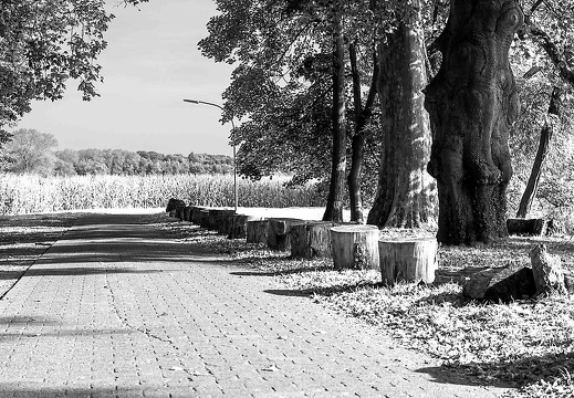  mg 6618 20150731 1794542110