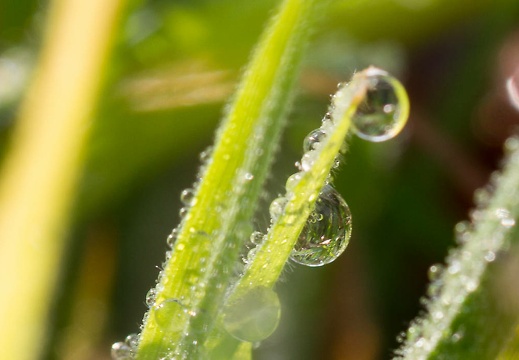  mg 7109 20150702 1549362368