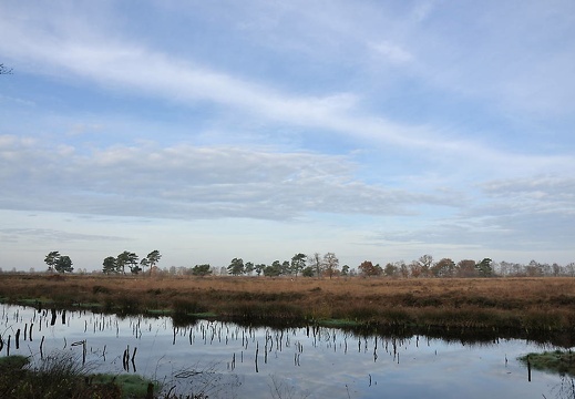 venner moor nov 2014-068 20151211 1441519857