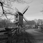 dsc 9069 20150519 2042870682