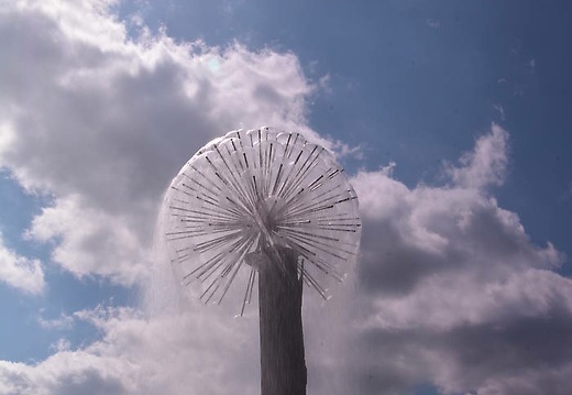 dsc 9612 20150519 1942704027