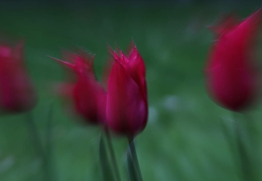 img 8230 20150526 1944618590