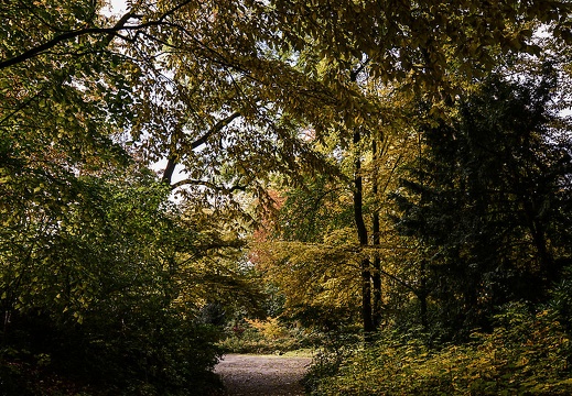 dsc 2197 20151206 1472851497