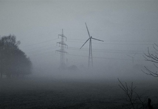 20170401 065450 20170709 2064229519