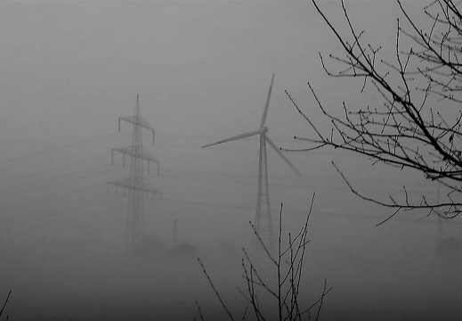 20170401 065833 20170709 1925561534