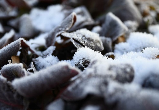dsc 5020 20170312 1319888150