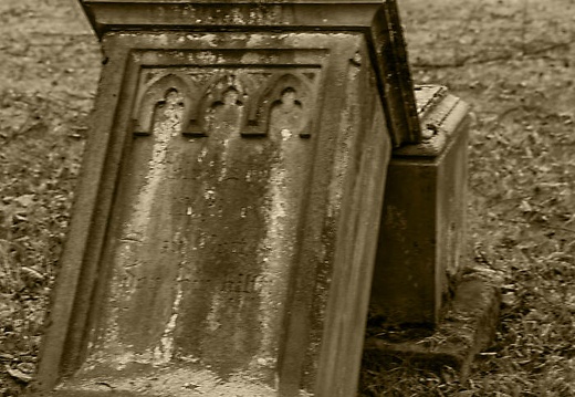 dsc 5157 20170325 1329959844