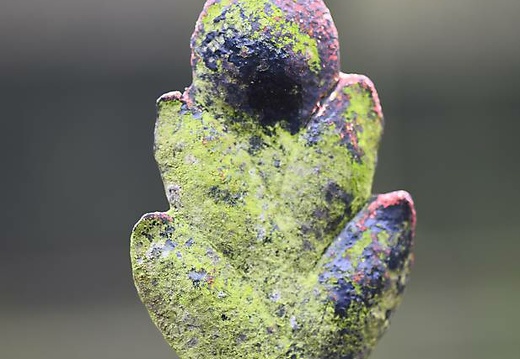 dsc 5185 20170325 1111860128