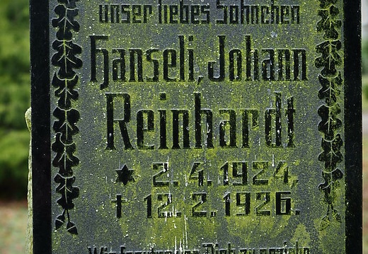 heger friedhof februar 2017-097 20170425 1250274335