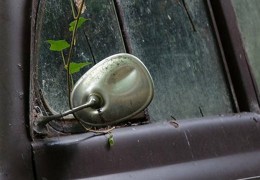 dsc01503 20170920 1347172482