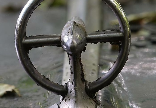 dsc01517 20170920 1627390797
