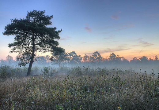 img 4950 1 2 3 tonemapped 20171019 1944776667