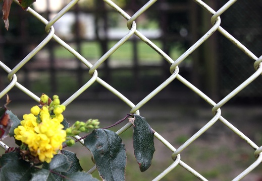 2019-03-24 043 20190327 1269218979