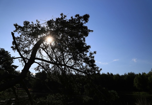 007 20220716 1368722517