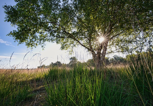 220703-081808-00007 20220716 1656807771