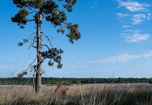 dsc 2576 20220718 1939976311