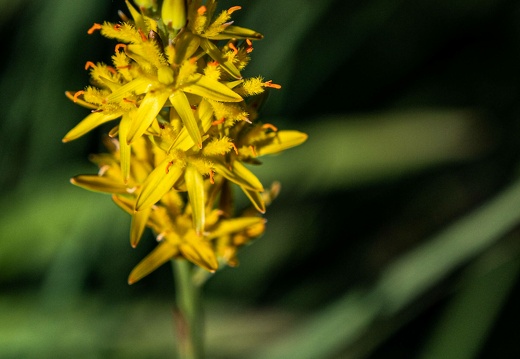 dsc 2579 20220718 1779165033