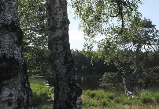 img 3311 20220717 1252465377