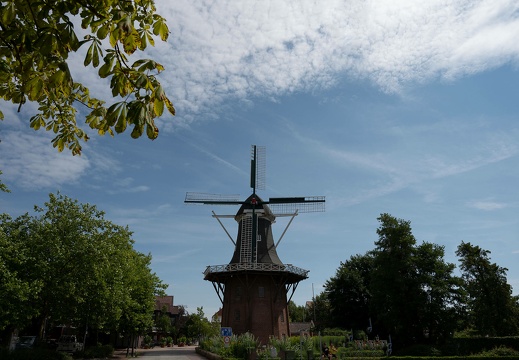 dsc 2735 20220725 1393511807