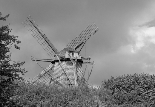 055 - kopie schwarz-weiss 20221005 1331021761