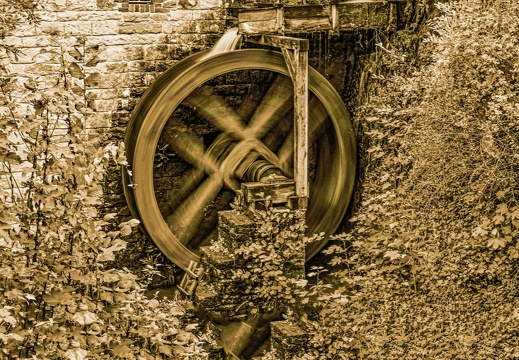  dsc2920 kopie 20221003 1756379163