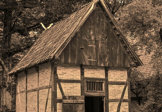  dsc2935  20221003 1863495542