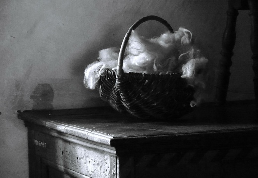 dsc01843 20221007 1179176448