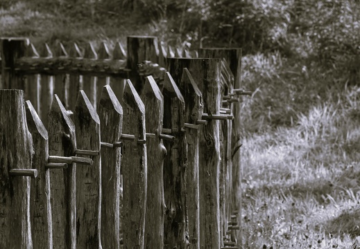 dsc01856 20221007 2042719427