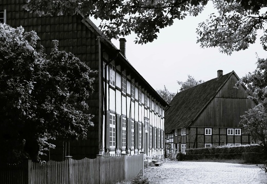 img 2953 20221007 1966175493