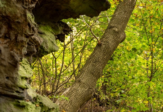  dsc3480 20221114 1084078597