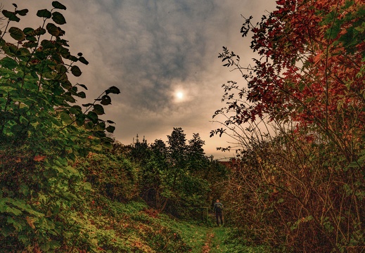  dsc3493 20221114 1399802424