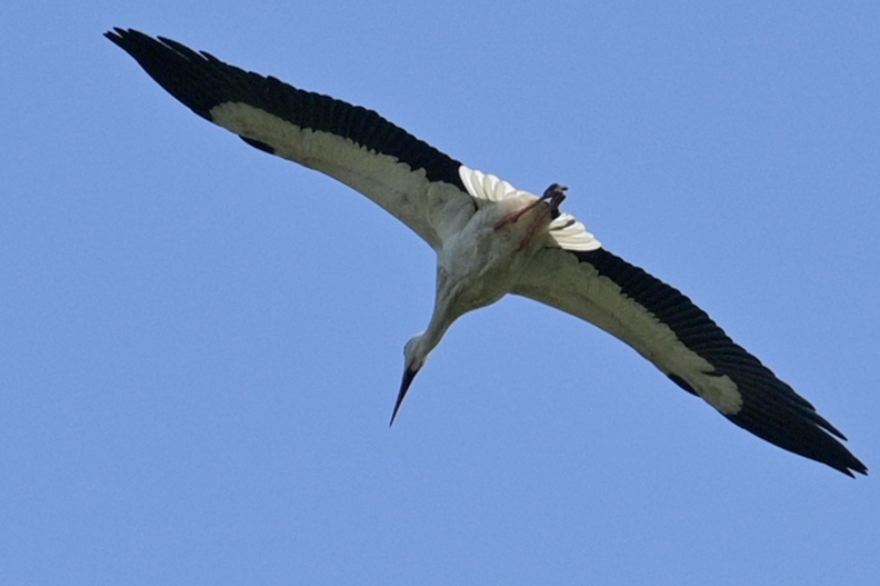 23.04.23 * Tierische Momente * Zoo Rheine * Mohamed _dsc4351_20230505_1748020627.jpg