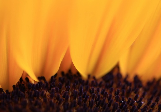 230723-093441-00005 20230723 2084196501
