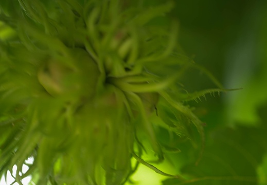  dsc0165 20230723 1739296379