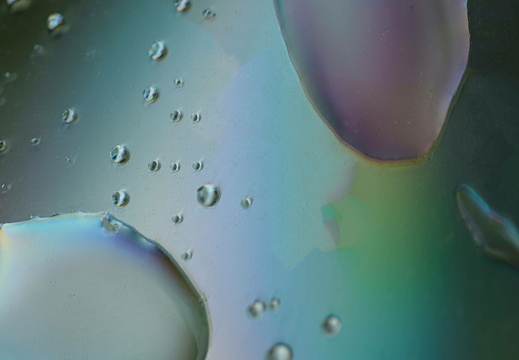  dsc0170 20230723 1260182687
