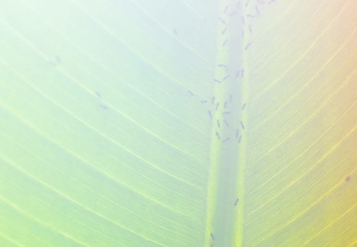 7j4a8261 20240128 1138945593