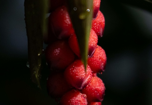 7j4a8342 20240128 1255924371