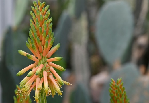 dsc 1131-wiederhergestellt 20240128 1444472290