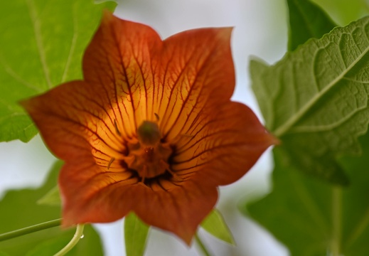 dsc 1134 20240128 1933423916