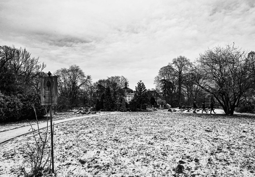 dsc 1178-wiederhergestellt 20240128 1614966365