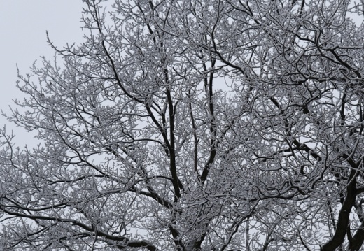 dsc 0444 20160307 1636899383