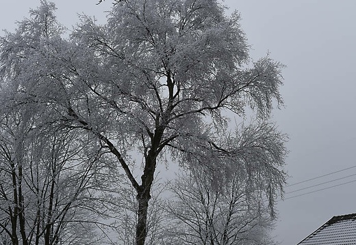 dsc 0446 20160307 1567425404