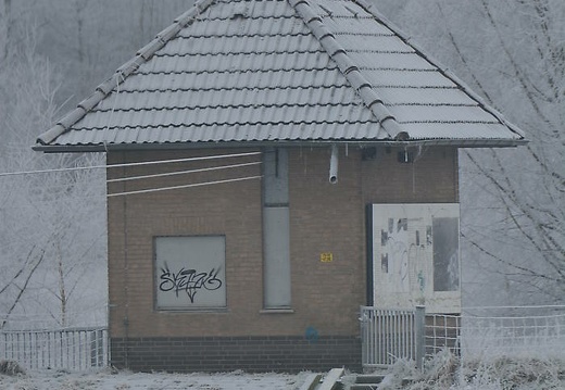 dsc 2600 20160307 1893194752