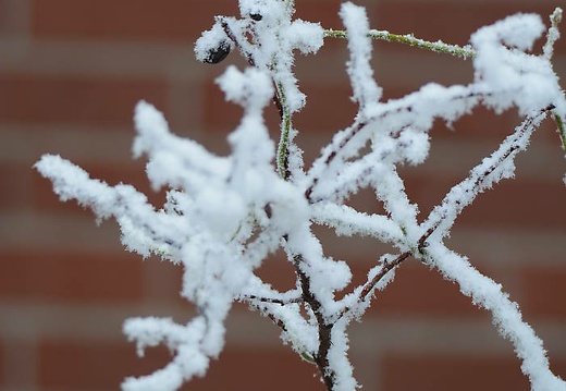 dsc 2607 20160307 2045626326
