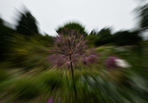 dsc 2812 20160621 1774452326