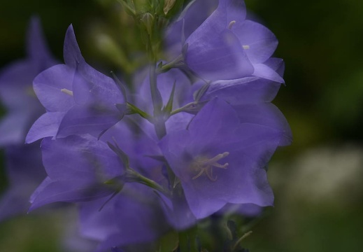 dsc 2844 20160621 1764973865