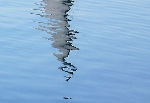 p1010412 20150713 1468960605