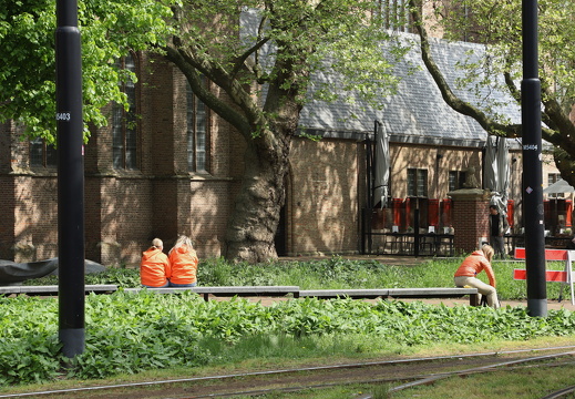 250424 Den Haag