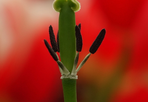 DSC09087a