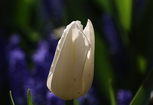 1B3A8975